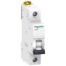 [shna9k24110] intr aut 1P 10A 6ka schneider